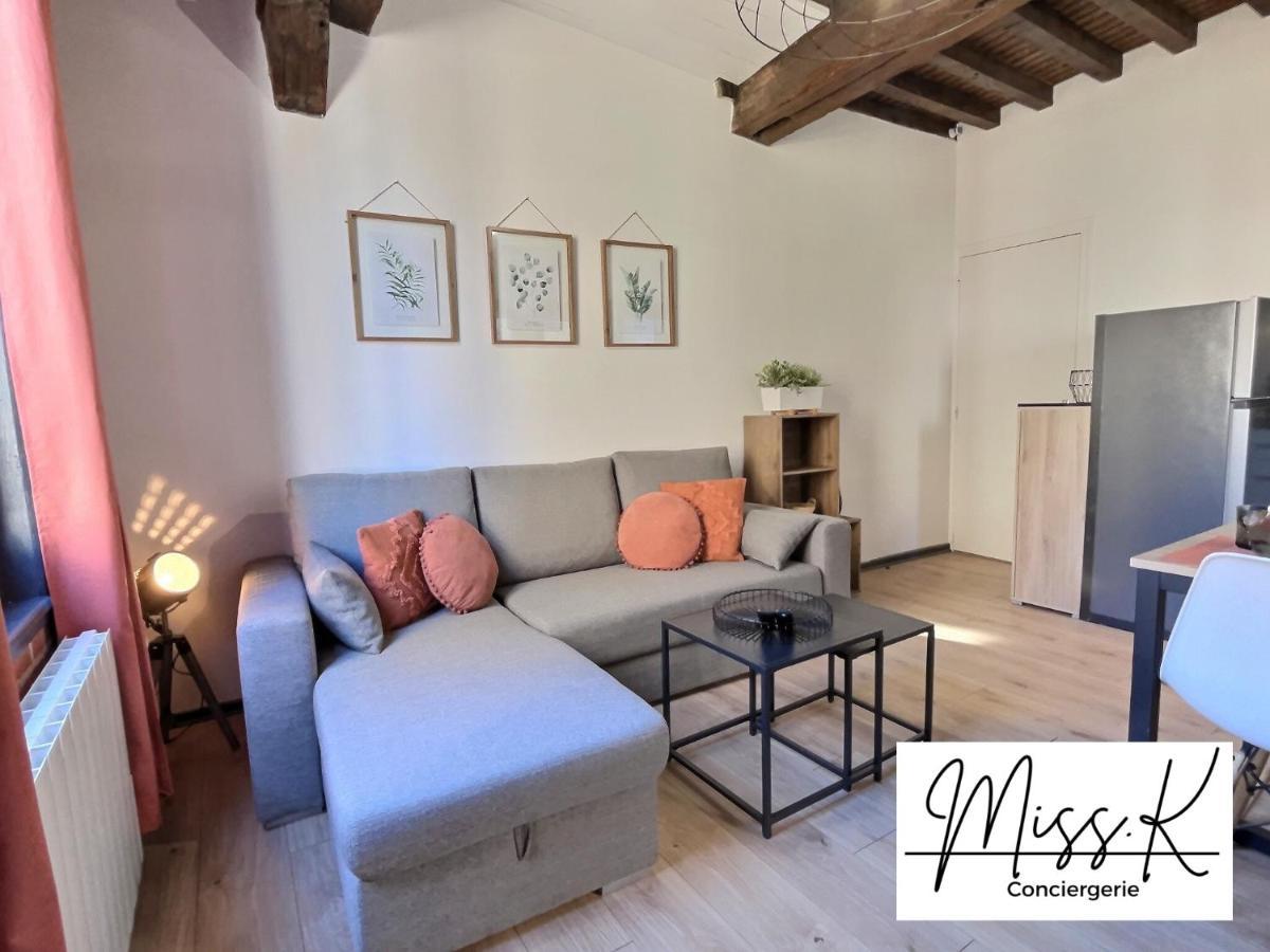 Апартаменты "La Fenetre Sur Le Marche" De Miss.K Conciergerie Шатийон-сюр-Шаларон Экстерьер фото